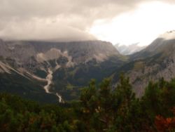 2013-09-08_6Falkenh-Steinfalk (260).JPG